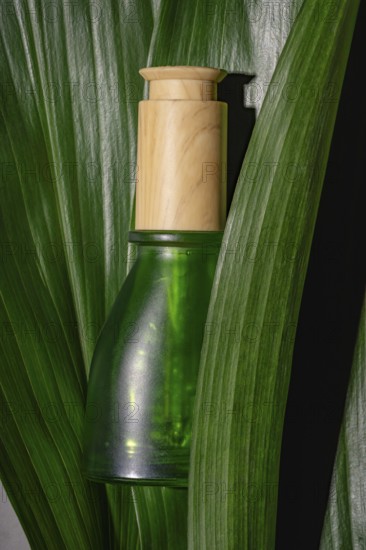 A single eco-friendly cosmetic bottle with a wooden cap, displayed against a vibrant background of fresh green leaves, emphasizing natural beauty and sustainability