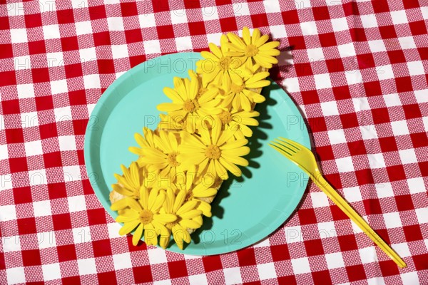 A visually striking arrangement of fresh yellow flowers on a vibrant turquoise plate set against a red checkered tablecloth. Perfect for themes of summer and creativity