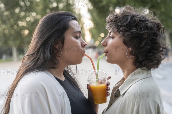 A lesbian couple enjoys a refreshing orange juice outdoors, each sipping through their own straw, showing connection and joy in a serene park setting