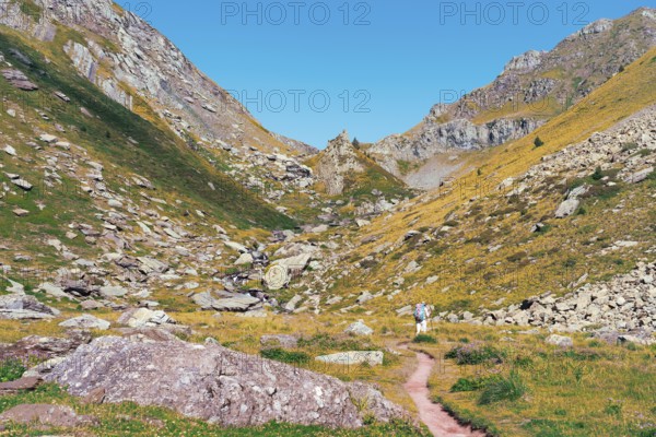Back view of unrecognizable hikers on a trail in the Ibones de Anayet, Huesca, Spain. This image captures the adventurous spirit as they trek through the rugged, rocky landscape surrounded by lush vegetation under a clear blue sky