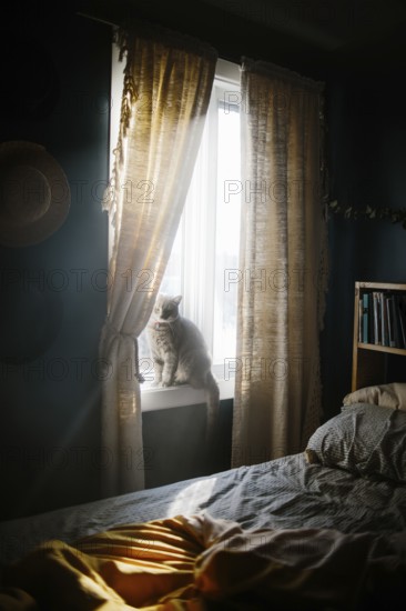 A serene bedroom scene with warm sunlight streaming through curtains, illuminating a cat sitting on a window seat. A cozy bed with soft, rumpled blankets adds to the tranquil ambiance