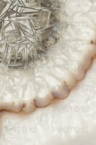 Close-up macro shot of a Brazilian agate slice showcasing intricate crystal structures, translucent layers, and brown-bordered banding, highlighting its natural beauty and unique formations