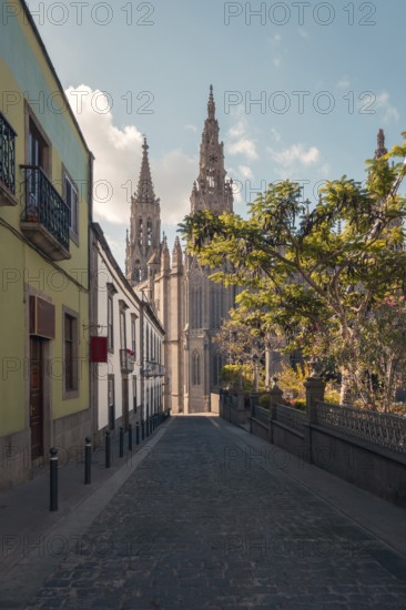 A picturesque view of a cobblestone street in Arucas, leading directly towards the towering spires of the San Juan Bautista Church under a serene sky, flanked by traditional Canary Islands architecture and rich greenery