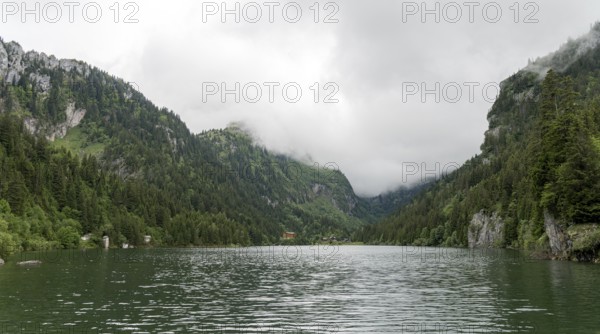Serene view of Lac de Taney in Switzerland, enveloped by dense forests and high rocky mountains under a cloudy sky, reflecting the pristine beauty of untouched nature