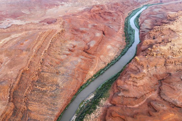 Aerial shot displays the meandering Rio San Juan snaking through vibrant red, rocky terrains of Utah, USA, showcasing nature's artistry from above