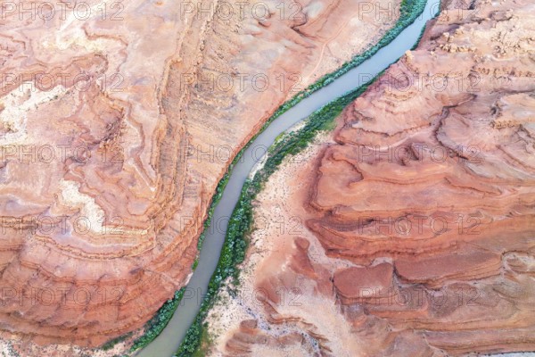 A stunning aerial shot of the Rio San Juan river weaving through the layered red rock formations in Utah, USA, showcasing nature's artistry