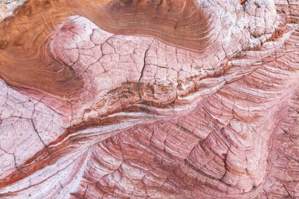 Discover the striking abstract formations and vibrant colors of desert rock textures at Vermilion Cliffs National Monument. These unique patterns captivate with their natural beauty