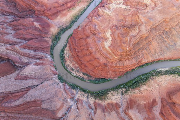 Aerial photograph of Rio San Juan meandering through the vibrant red rock formations and greenery in Utah, USA, showcasing nature's artistry