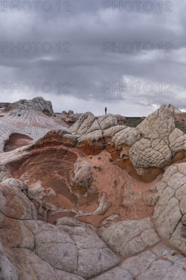 Unrecognizable person standing on the surreal, textured rock formations of White Pocket, Arizona, USA, under a cloudy sky. The image captures the vastness of the landscape juxtaposed with the small human figure