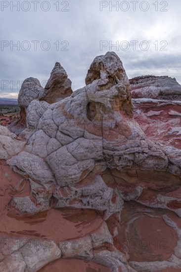 Striking rock formations characterized by intricate patterns and a mix of red and white sandstone under a cloudy sky at White Pocket, Arizona, USA. The detailed textures and vibrant colors dominate the landscape