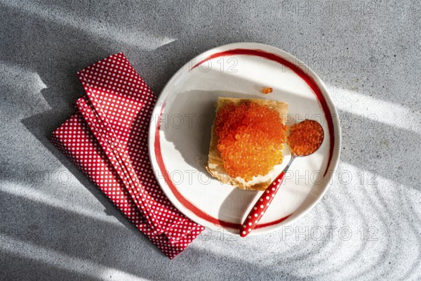 Top view of a plate with organic red trout caviar spread on a toasted slice of bread, accompanied by a red polka dot napkin and spoon, presented on a textured grey surface illuminated by natural sunlight