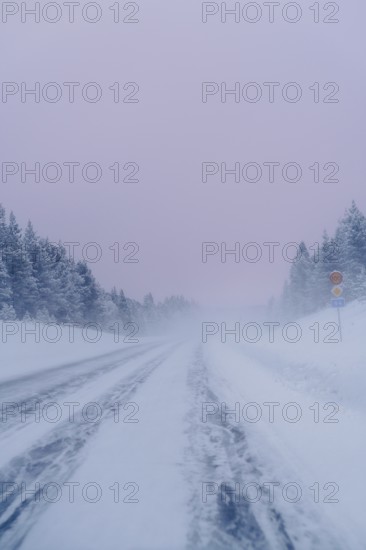 An icy road stretches through Swedish Lapland, flanked by frost-covered trees under a pale sky. The snow-clad landscape creates a serene winter scene