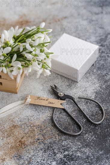 Fresh bouquet of spring snowdrops placed beside a textured white gift box and dark vintage scissors on a mottled gray background. A thank-you tag adds a charming touch to this scene, suggesting a gesture of gratitude