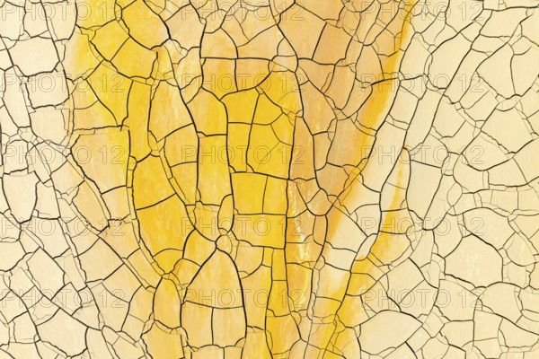 A vivid display of golden yellow and pale yellow mud cracks captured in stunning detail, presenting an abstract view reminiscent of parched, textured landscapes