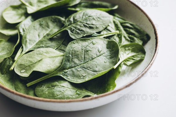 A close-up of fresh green spinach leaves in a bowl, showcasing their vibrant color and freshness with visible water droplets. Perfect for healthy eating and salad themes