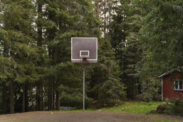 A solitary basketball hoop stands amidst dense, lush forest in Sweden. The serene setting offers a tranquil blend of sport and nature, captured in rich green hues