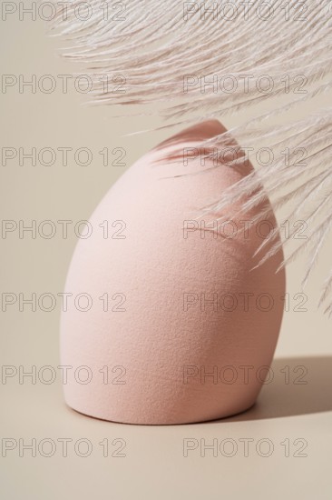 A soft, pink cosmetic sponge displayed with feather details on a beige background Ideal for beauty products, makeup tutorials, and skincare promotions
