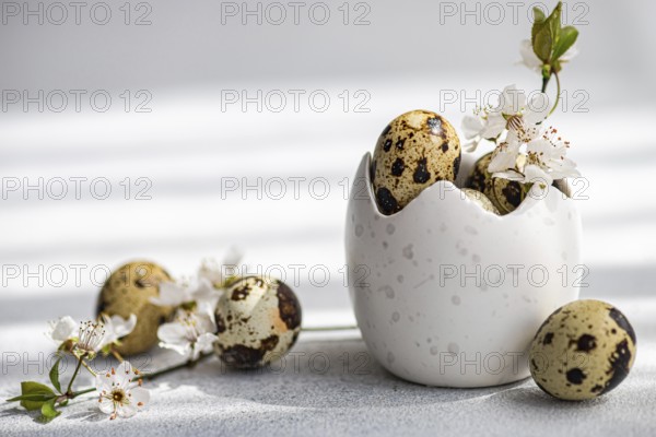 A serene Easter composition featuring quail eggs nestled in a textured white ceramic egg holder, adorned with delicate spring blossoms. Soft light enhances the festive and natural aesthetic