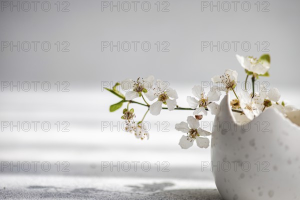 White cherry blossoms extend elegantly from a speckled ceramic vase, placed against a soft blurry background. This serene and gentle arrangement is perfect for the Easter holiday, capturing the essence of spring renewal