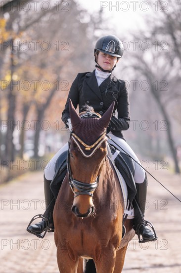 A skilled rider in formal attire demonstrates classical dressage on a chestnut horse The serene setting with autumn trees adds to the elegance and tradition of the scene