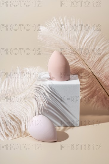 Pastel-toned cosmetic sponges elegantly arranged with soft feathers The minimalist composition highlights the texture, shape, and gentle hues, creating a soothing aesthetic