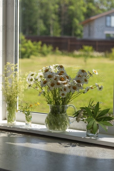 A serene arrangement of daisies and wildflowers in clear glass vases on a sunny windowsill The open window frames a view of a grassy garden and house in the background