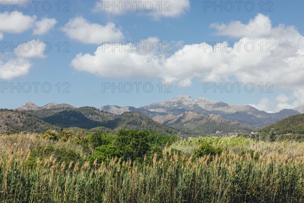 Scenic view of green valley with trees and mountains under blue sky with clouds