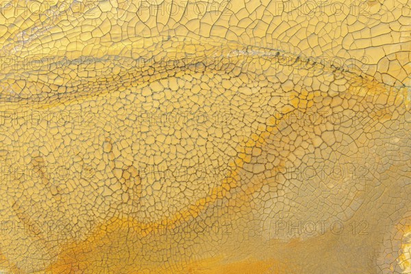 Close-up view of a textured surface of golden mud showcasing intricate cracks and rich golden hues
