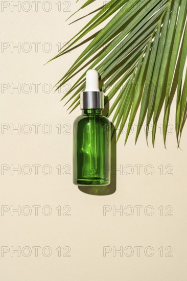 Top view of a green glass serum bottle with a dropper pipette, cast by a palm leaf's on a warm beige background, symbolizing organic skincare