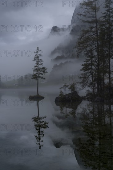 A moody and serene view of Hintersee Lake in the Bavarian Alps, shrouded in mist Lone trees on small rocky islands are reflected in the still water, creating a mystical atmosphere
