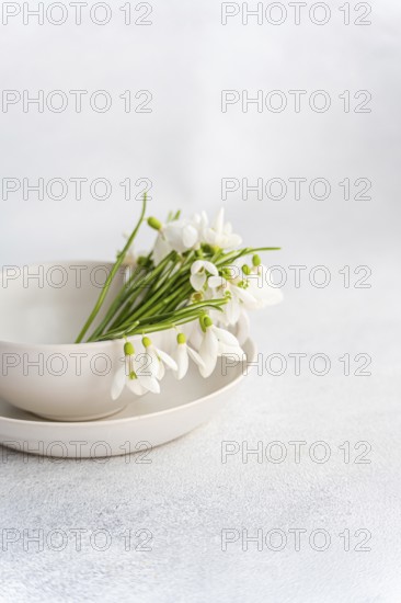 Fresh spring snowdrops elegantly arranged in a white ceramic bowl on a textured pale background. The delicate white bloom contrasts softly with the minimalist setting, perfect for springtime themes