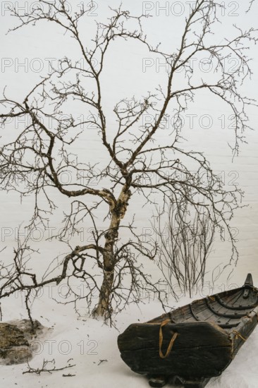 An art installation inside a Swedish Lapland ice hotel showcases a wooden boat and intricate tree sculpture, blending nature with human craftsmanship