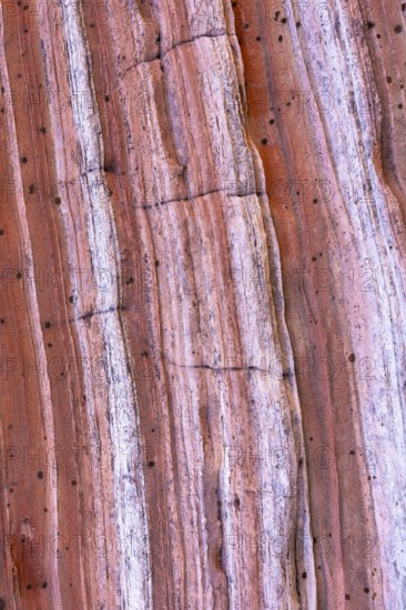 This image features a detailed close-up view of a red rock surface, showcasing its multi-tonal stripes and natural erosion lines. The subtle variances in color and texture highlight the geological beauty and composition of the rock