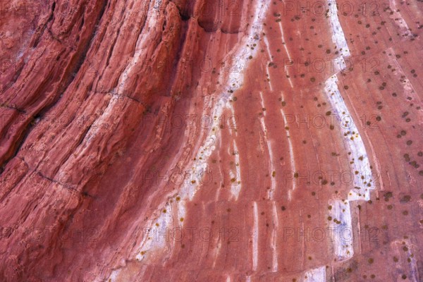 Up-close image capturing the intricate linear erosion patterns and texture on the surface of a red rock formation, highlighted by diverse tones and small vegetation dots
