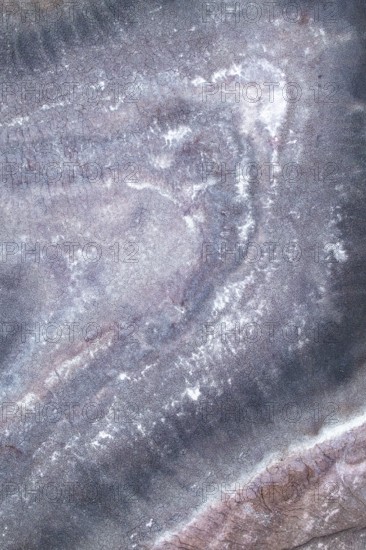 Aerial shot of a sandstone lake showcases soft pastel shades and organic textures, creating a dreamlike abstract pattern reminiscent of a watercolor painting, highlighting nature artistry