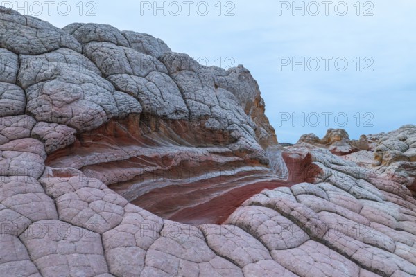 Detailed view of the unique, textured rock formations at White Pocket, Arizona, USA, featuring intertwined layers of red and pale stone against a dusk sky