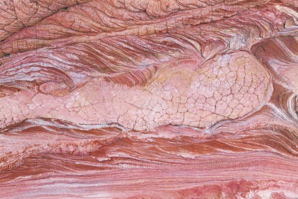 Explore the intricate textures and flowing lines of the Vermilion Cliffs in Arizona, USA. This image captures stunning natural patterns and warm hues of the desert landscape