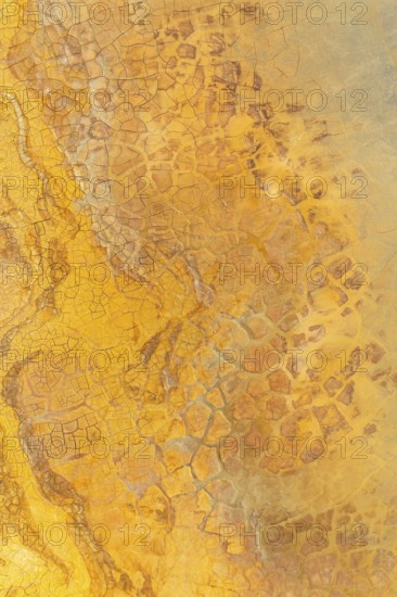 This image captures the detailed texture of golden mud, showcasing various tones and intricate cracked patterns that create a vivid natural abstract