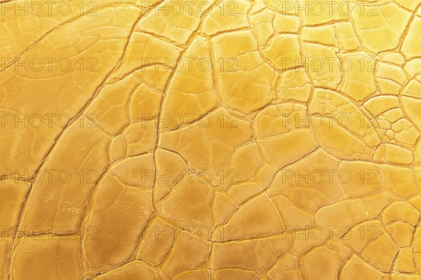 A close-up view of dry, cracked golden mud forming unique abstract patterns across a surface