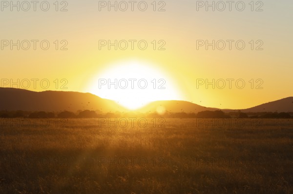A serene sunset view over the vast grasslands of Cabaneros National Park in Montes de Toledo, Spain, featuring silhouettes of birds and distant cabins