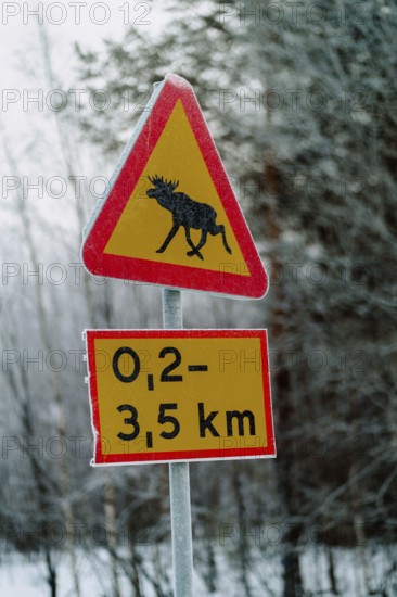 A vibrant triangular moose warning sign along a snow-covered road in Swedish Lapland, signaling caution for wildlife crossing in this serene winter landscape
