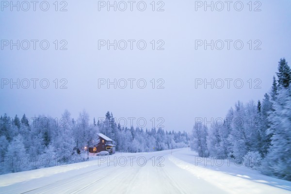 A tranquil winter scene of a snow-laden road winding through the pristine forests of Swedish Lapland, with a cozy cabin emitting a warm glow in the distance