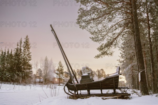 A vintage wooden sleigh rests in a serene snowy forest in Swedish Lapland at sunset. The peaceful winter scenery showcases tall pine trees and a calm atmosphere
