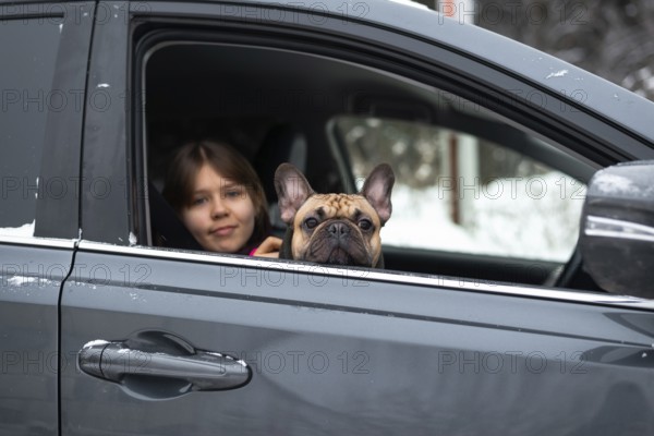 A girl and her French Bulldog enjoy a cozy winter drive. The dog looks out the car window, while snowflakes gently decorate the vehicle's exterior