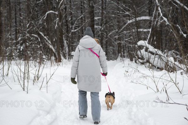 A person, bundled in winter attire, walks their dog on a snowy forest path. The serene landscape captures the essence of peaceful winter outdoor activities