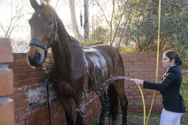 A person in a classical riding outfit washes a horse with a hose in a sunny yard, emphasizing care and bonding after dressage practice, framed by brick walls and trees