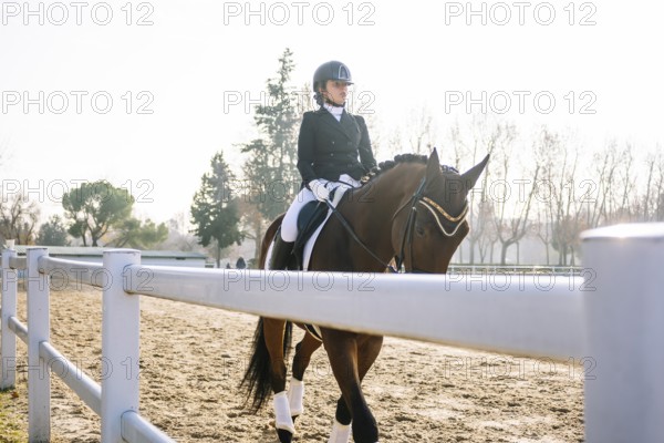 A skilled dressage rider in formal attire guides a horse gracefully in a sunny equestrian arena, showcasing the art of classical riding under clear skies