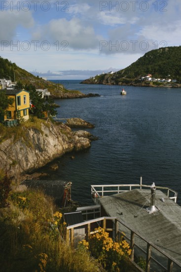 This picturesque image captures the rugged charm of Signal Hill in St. John's, Newfoundland & Labrador, with colorful houses perched near the rocky coastline. A serene bay with a small boat and wild flora enhances the tranquil scene