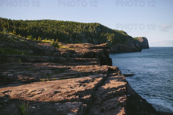 A serene view of the rugged cliffs descending into the ocean at Flatrock, Newfoundland & Labrador, Canada. The cliffs are layered in sedimentary lines, revealing geological history against a backdrop of dense green forests and expansive blue waters