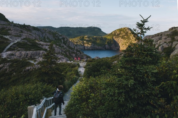 Back view of an unrecognizable hiker walking a wooden pathway towards a picturesque bay surrounded by rugged cliffs in Signal Hill, St. John's, Newfoundland & Labrador, Canada